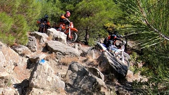 Одна из самых главных красок в жизни - этой эмоции 