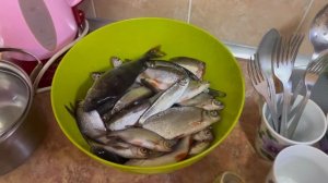 ФИДЕР 2024. РЫБАЛКА С ЖЕНОЙ НА ЧИГИРИНСКОМ ВОДОХРАНИЛИЩЕ!!!