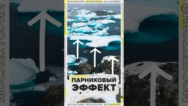 Инверсионный след | Лекция 2024 | Мослекторий