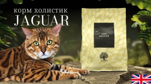 The JAGUAR: Гипоаллергенный корм для кошек всех пород и возрастов, кастрированных,стерилизованных