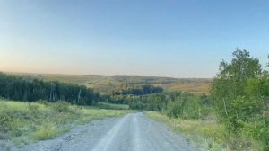 Прогулка по лесу на . #кувандыкскийрайон #ялнаир #наилягабдуллина #тыуганяктарыма