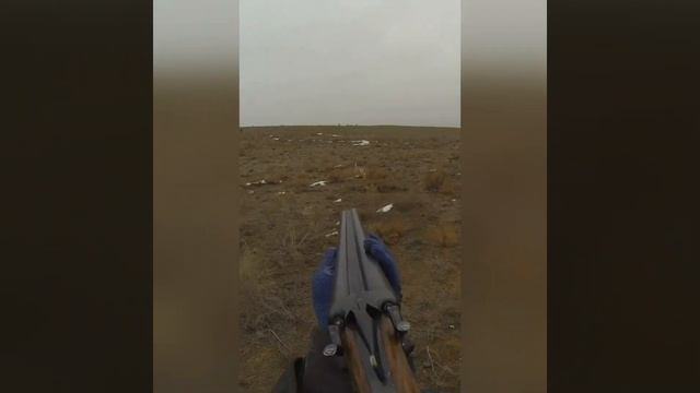 Случай на заячьей охоте :)