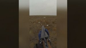 Случай на заячьей охоте :)