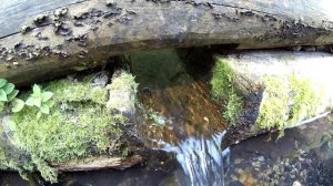 НИВА легенда по бездорожью.