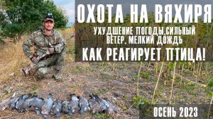 Охота на вяхиря!/ Сильный ветер сложил наш скрадок!