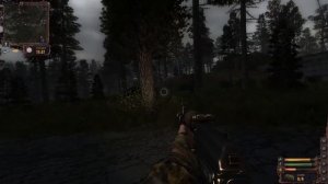 Прохождение STALKER Lost Alpha — Часть 16: Идем в Лес