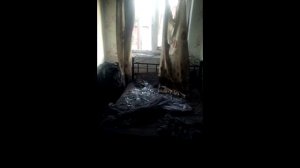 Дзержинск Щербиновка Грибоедова