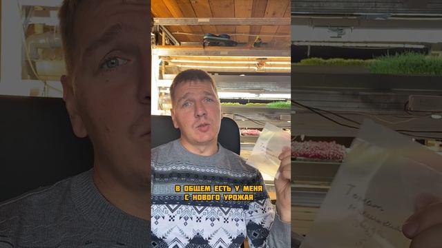 Новые соблазны😂