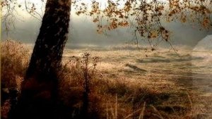 Где-то там, далеко,  Где кончается дождь.... -Вахтанг Кикабидзе