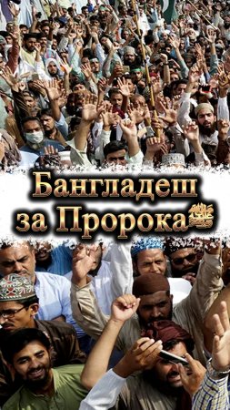 ☝️В Бангладеш встали на защиту Пророкаﷺ #мирадио