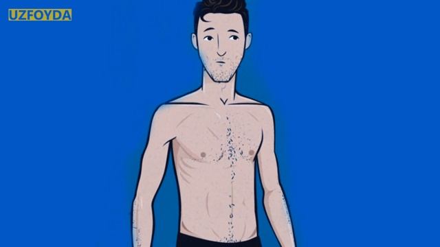 Qanday Qilib Bir Oyda 10 kg VAZN orttirish mumkin?