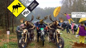 Лосиная тропа 2024