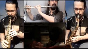 The Last of Us Theme -  Sax & Flute Cover