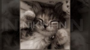 NIKIMAN - Наше последнее лето