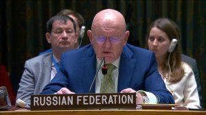 Statement by Amb. Vassily Nebenzia at UN Security Council briefing on the situation in Syria