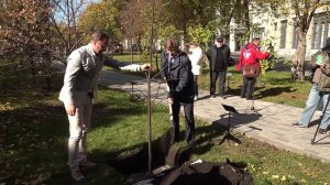 В Театральном сквере высадили новые именные деревья