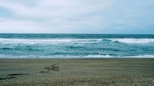 Музыка круга друзей Бруно Грёнинга