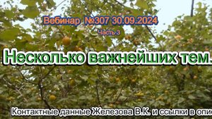 Железов Валерий. Вебинар 307. ч.3. Несколько важнейших тем.