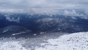 ПОДНЕБЕСНЫЕ ЗУБЬЯ, 28СЕНТЯБРЯ 2024