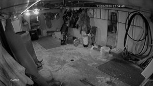Камера в инфракрасном диапазоне 2