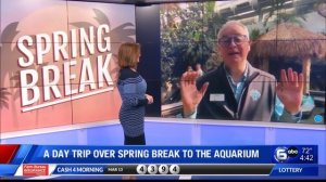 Tennessee Aquarium in Chattanooga offers exciting spring break day trip destination