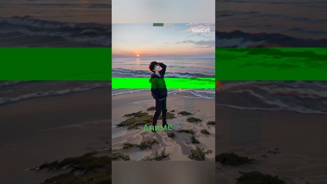 Рояльная против Аниме