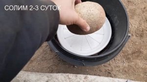 КАРАСЬ ВЯЛЕНЫЙ И КОПЧЕНЫЙ