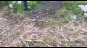 Каркасный дом 6х8 своими руками ч. 7 #каркасник