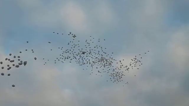 Запуск воздушных шаров от Компании Шар-Дизайн - www.shardesign.ru смотреть онлайн