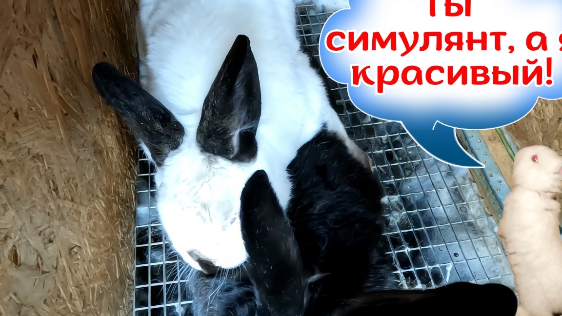 Осень время замутить. Мутки хорошего парня))))