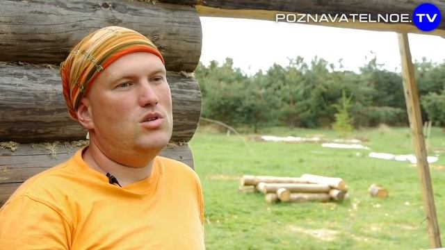 Кирпич или бревно?