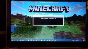 Удалённый кадр, с серии "Minecraft win 10 Edition но это пробная версия...."