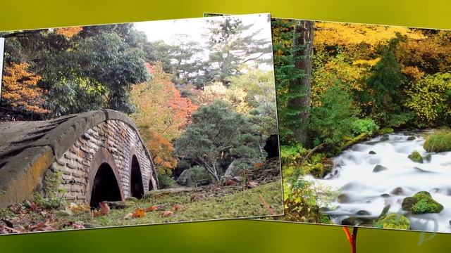 Ах, осень, осень, милая подруга! смотреть онлайн