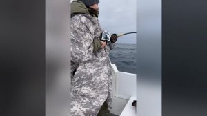 Девушка против здоровенной трески. Кто возьмет верх?