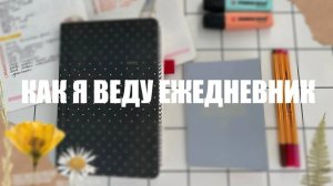 КАК Я ВЕДУ ЕЖЕДНЕВНИК I ОФОРМЛЕНИЕ И КОЛЛЕКЦИИ ЕЖЕДНЕВНИКА I ИДЕИ ДЛЯ BULLET JOURNAL