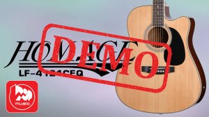 Электроакустика HOMAGE LF-4121CEQ - демонстрация звучания