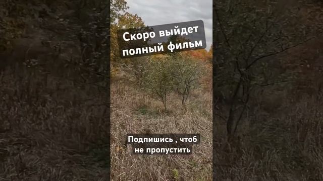 Отрывок из охоты, подпишитесь , чтоб не пропустить полное видео. Выход видео сегодня вечером смотреть онлайн