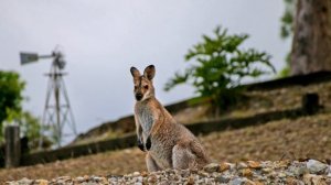 Australia Weather - Summer 2021 || Summer Season in Australia || Summer 2021 in Australia