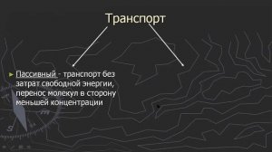 (АРХИВ) Явления переноса. Мембранный транспорт