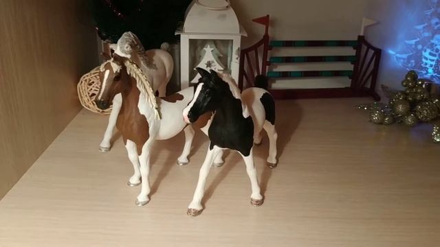 Коняшки!🐴😍 Видео за 3.01.2019