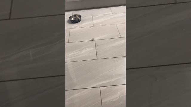 Весело смотреть онлайн