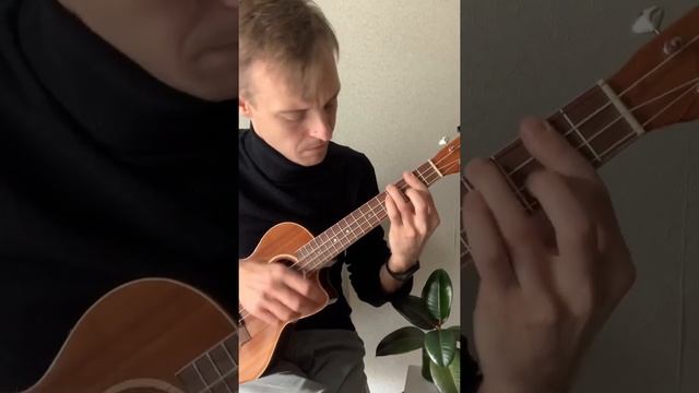 ukulele samba from Russia with love ♥️