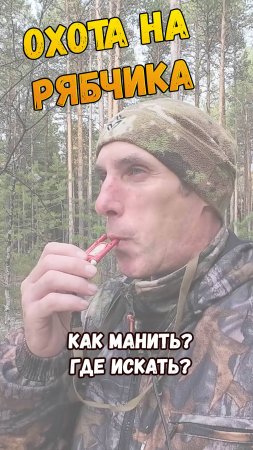 Охота на рябчика, как манить? Где искать?