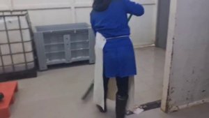 Мойщик тары - вакансия в г Балашиха в ПТК Экор-Фиш