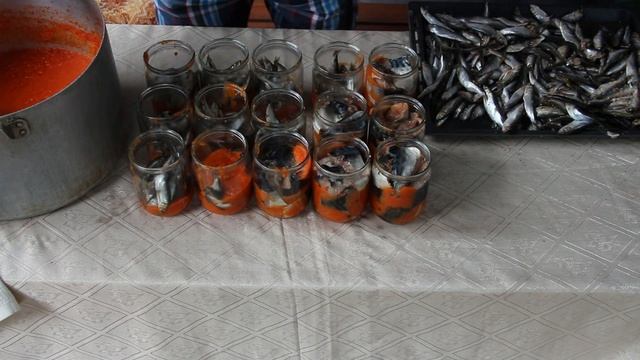 килька и скумбрия в автоклаве в томатном соусе смотреть онлайн