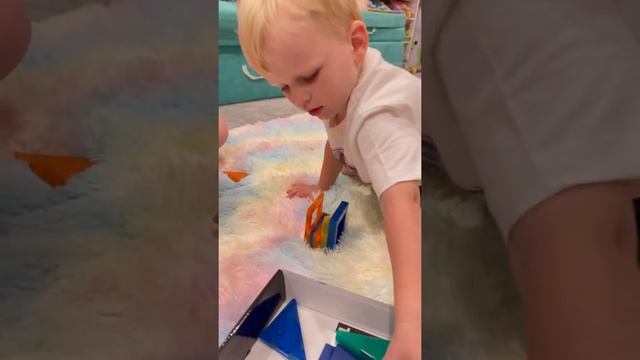 Tytan™ Magnetic Tiles & Building Blocks review смотреть онлайн