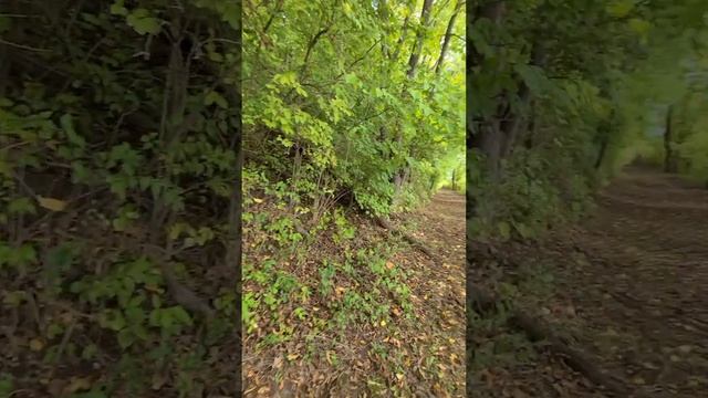 Black Hawk Statue Oregon Illinois смотреть онлайн