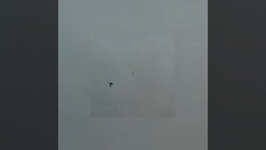 Охота на уток. Запись с камеры ShotKam