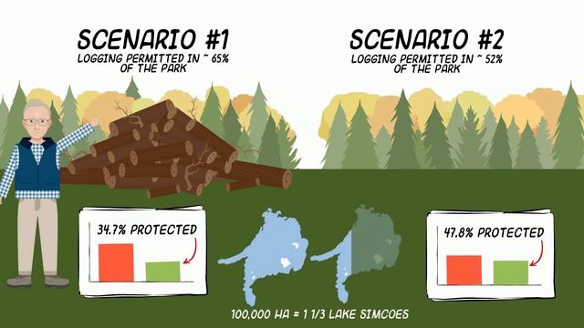 Why We Need to End Logging in Algonquin Park