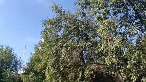 video 2024 05 27 20 36 03